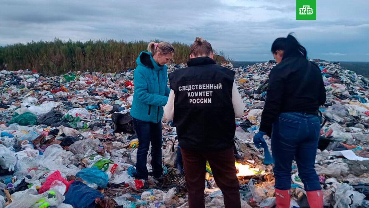    Фото: СУ СК России по Ленинградской области