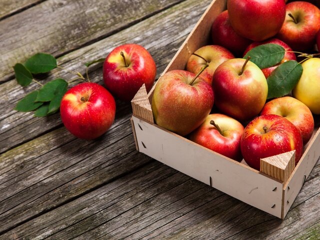    Фото: 123RF/gdolgikh