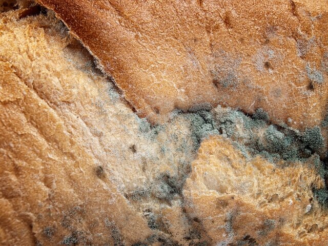    Фото: 123RF/sbotas