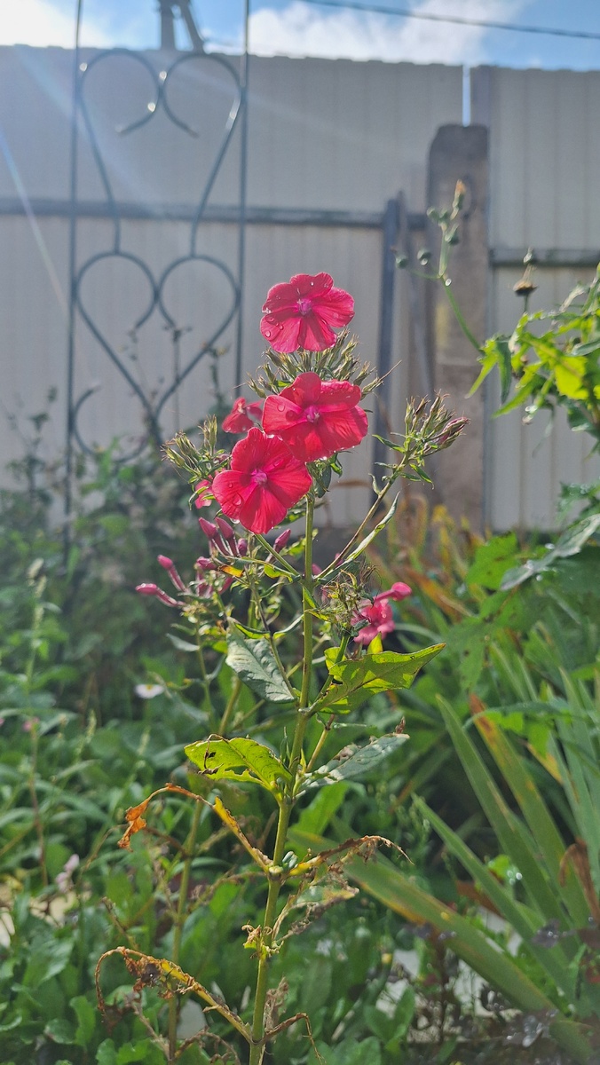 Фото автора. Душа и Тело догоняют Разум. 
