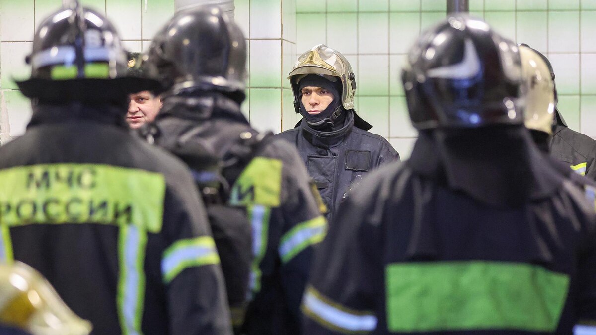    Фото: Belkin Alexey/globallookpress.com