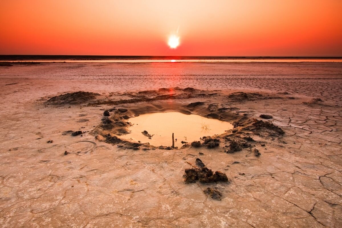 Фото из открытых источников 