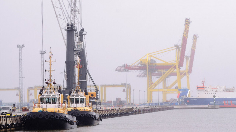    Морской торговый порт Усть-Лугаlenoblinvest.ru