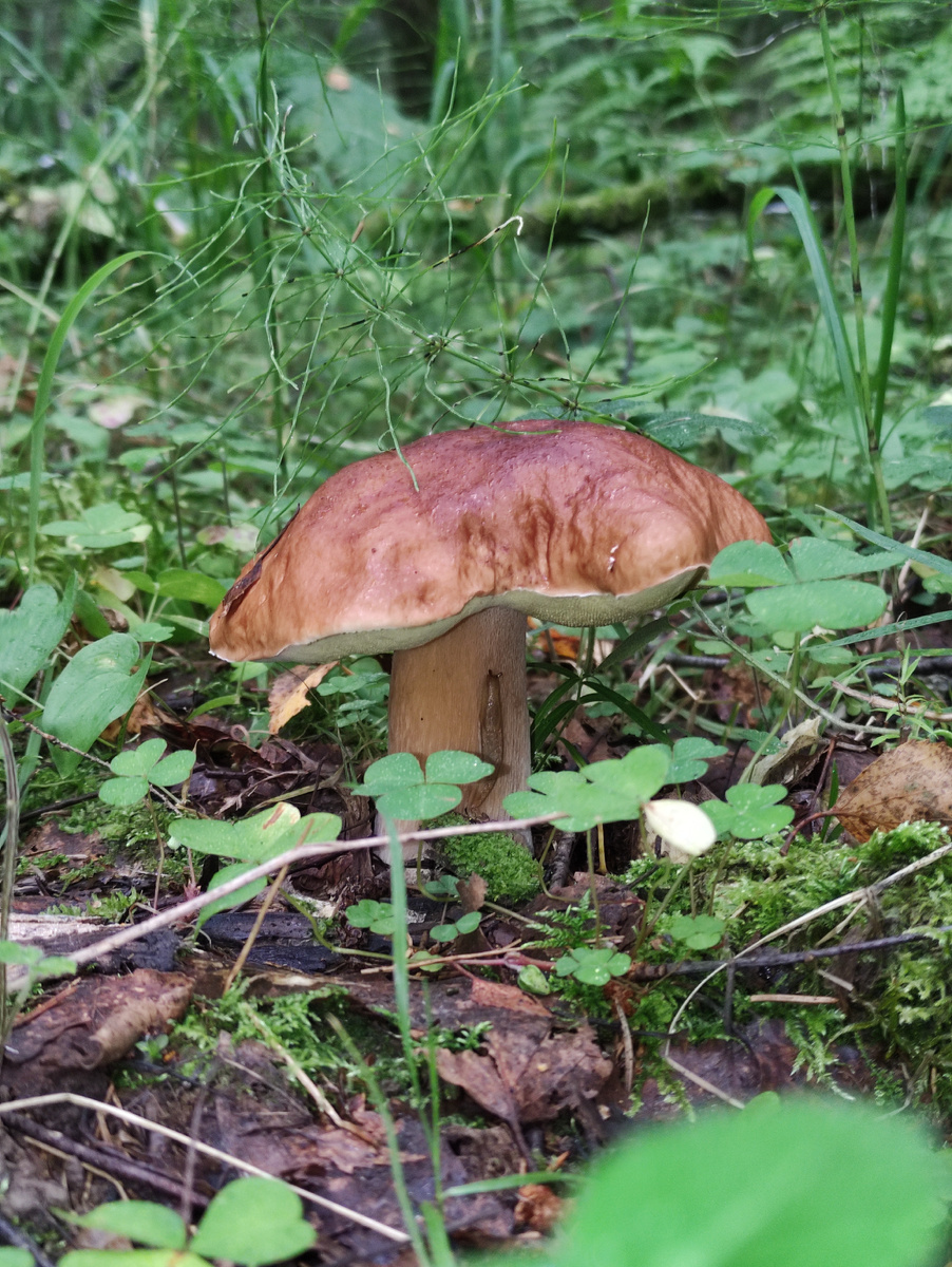 Фото автора канала 