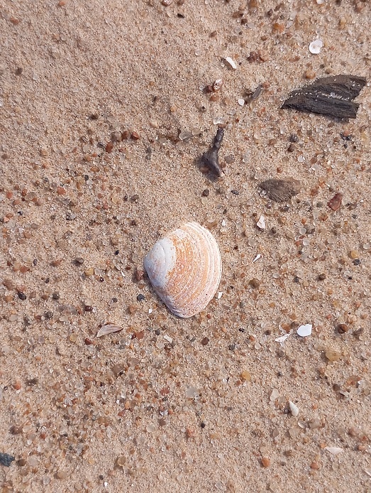 Рига, 16 августа 2025