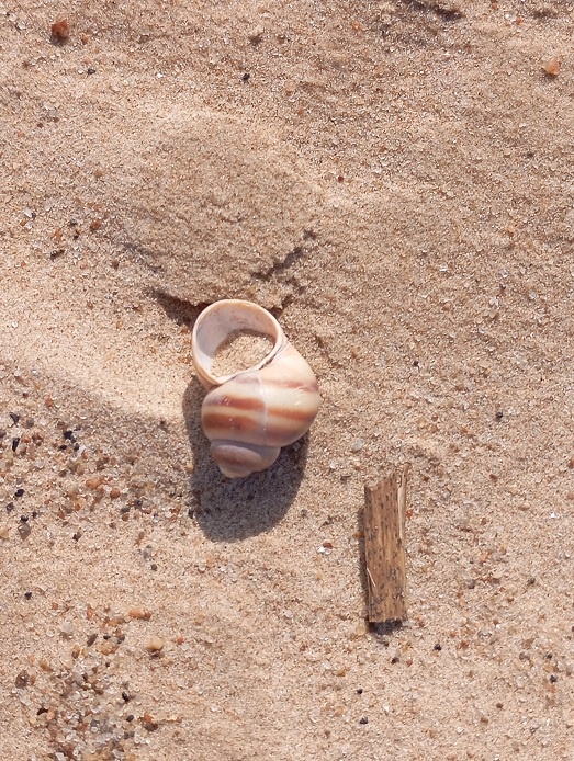 Рига, 16 августа 2025