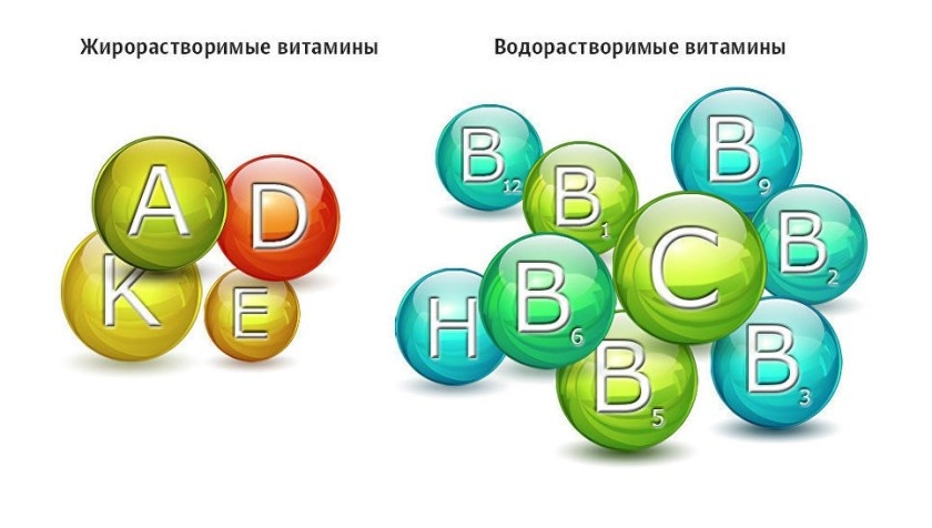 Витамины. Фото из открытых источников