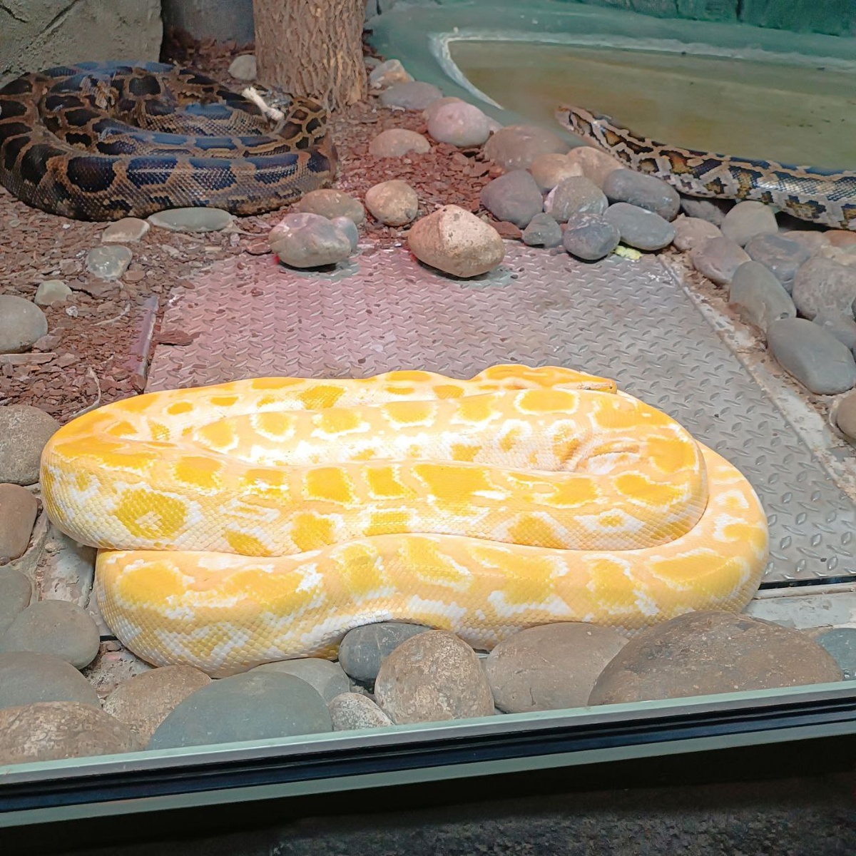 Какие у вас ассоциации?