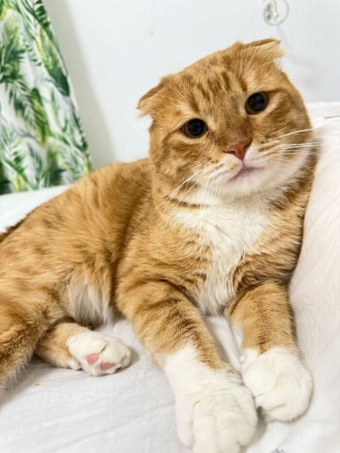 Иллюстрация: © «Панорама»