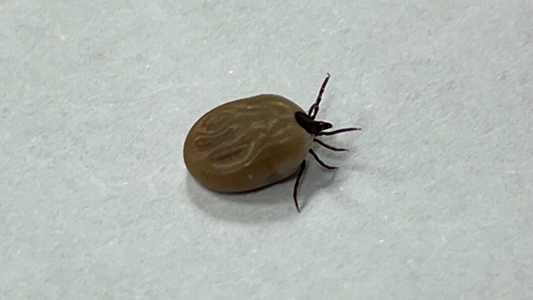    фото: Petrov Sergey/news.ru