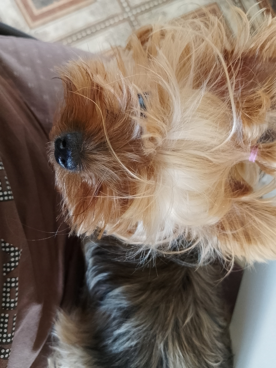 Люблю сидеть на коленях