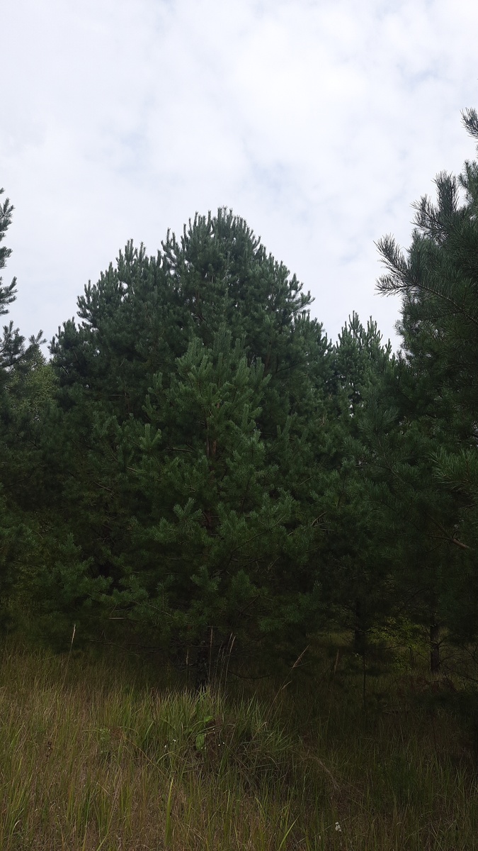 Фото из личного архива 