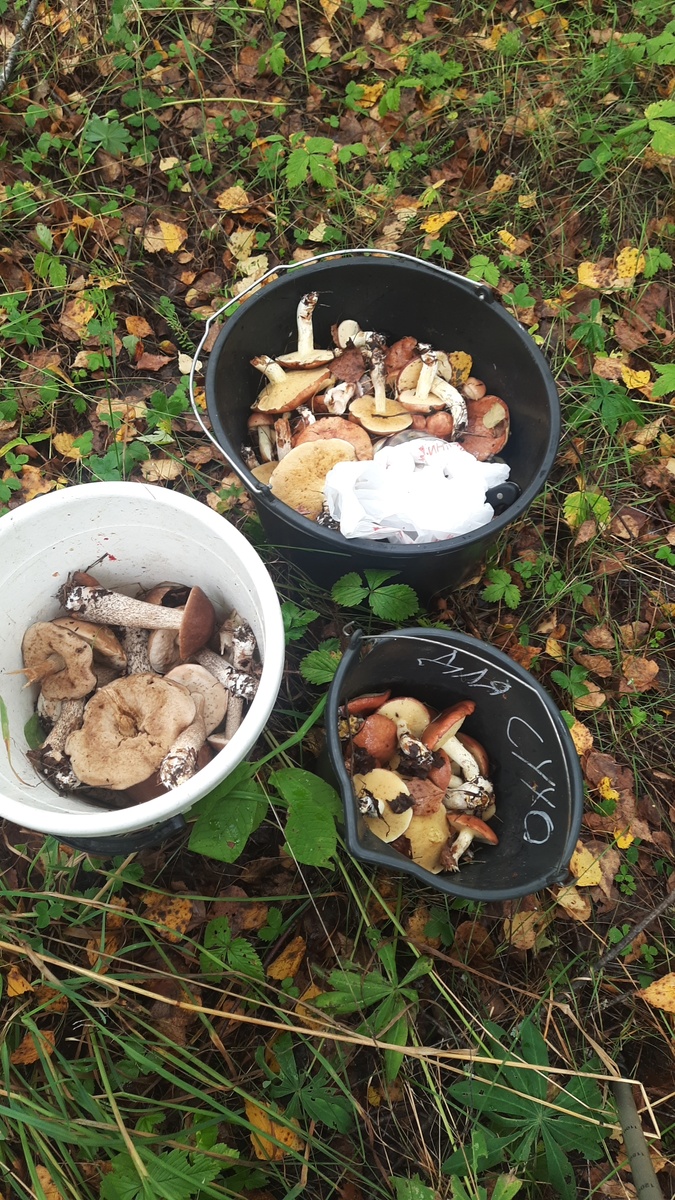 Фото из личного архива 