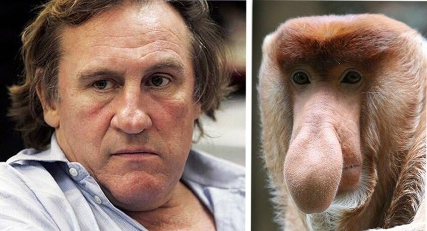 Источник Яндекс Картинки.