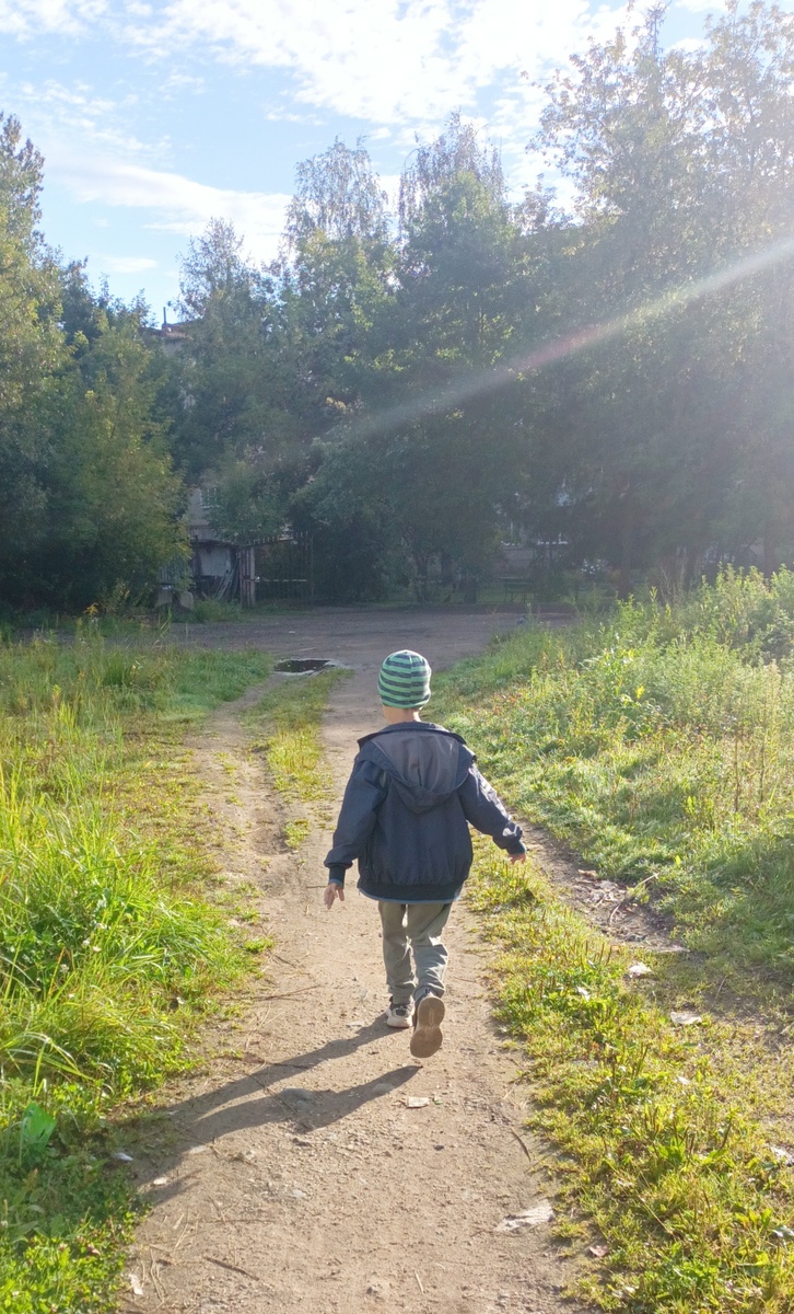 По дороге в сад.