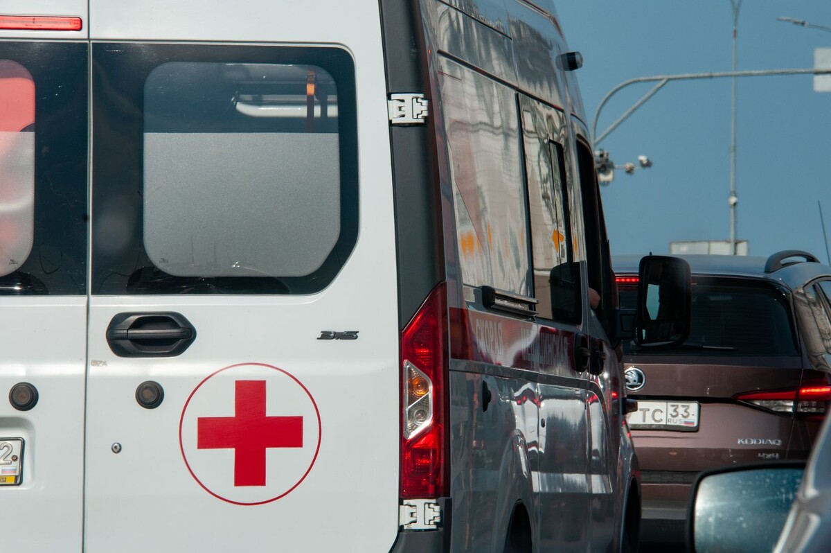     / Источник: © Svetlana Vozmilova/Global Look Press