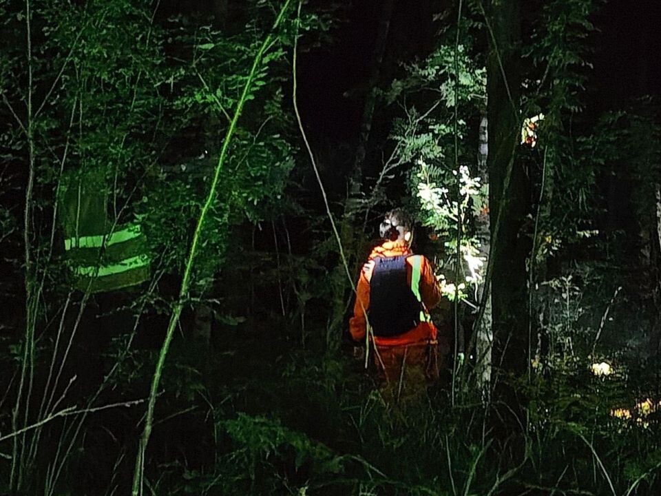    Женщина потерялась в алтайском лесу. Источник: ПСО "Лиза Алерт" Алтайского края