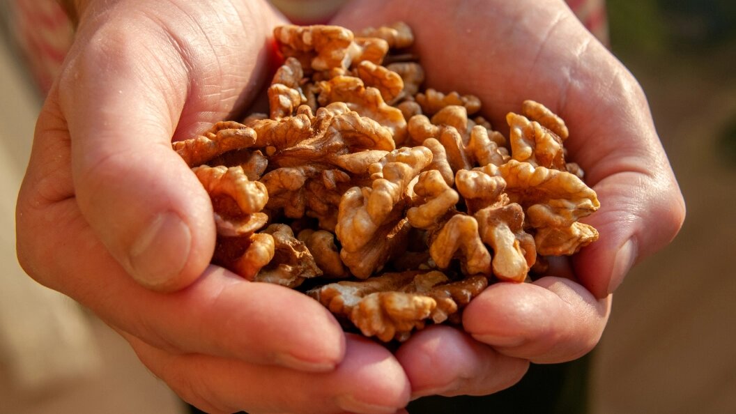    ФОТО: Svetlana Vozmilova/Globallookpress