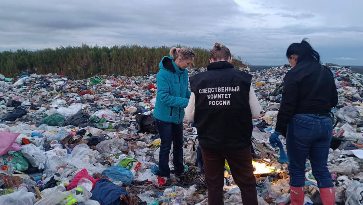    СК России по Ленинградской области