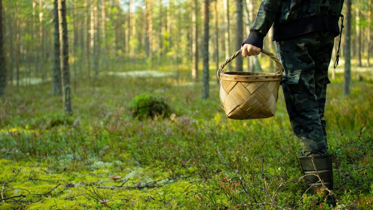    Фото: ANDREY-SHA74/Shutterstock/Fotodom