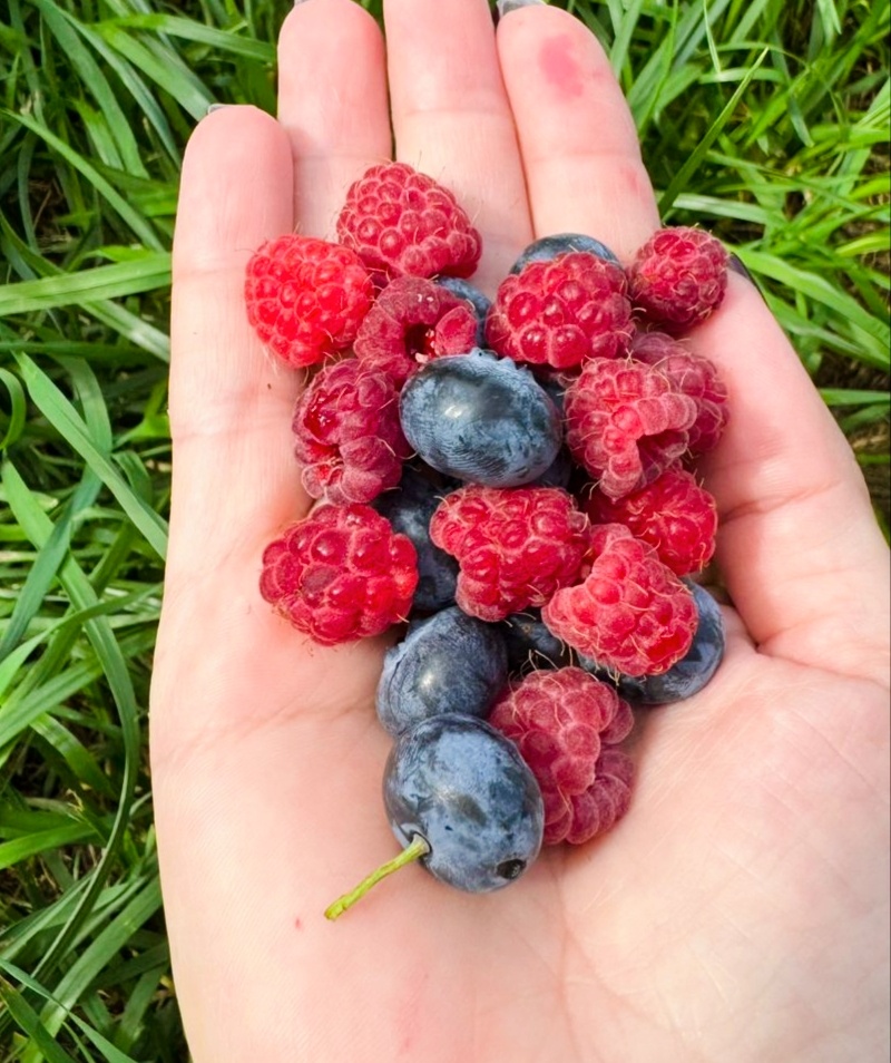 Витаминный заряд