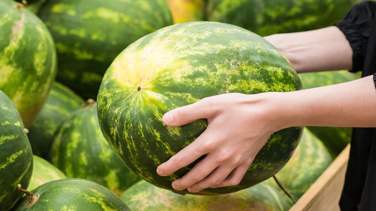    Фото: Elena Shvetsova/Shutterstock/Fotodom