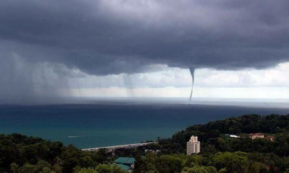    Фото t.me/officialsochi