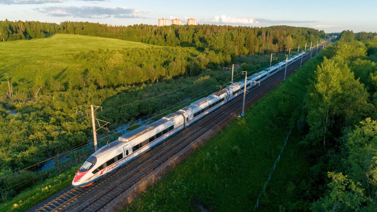    Фото: vk.com/sapsan.official