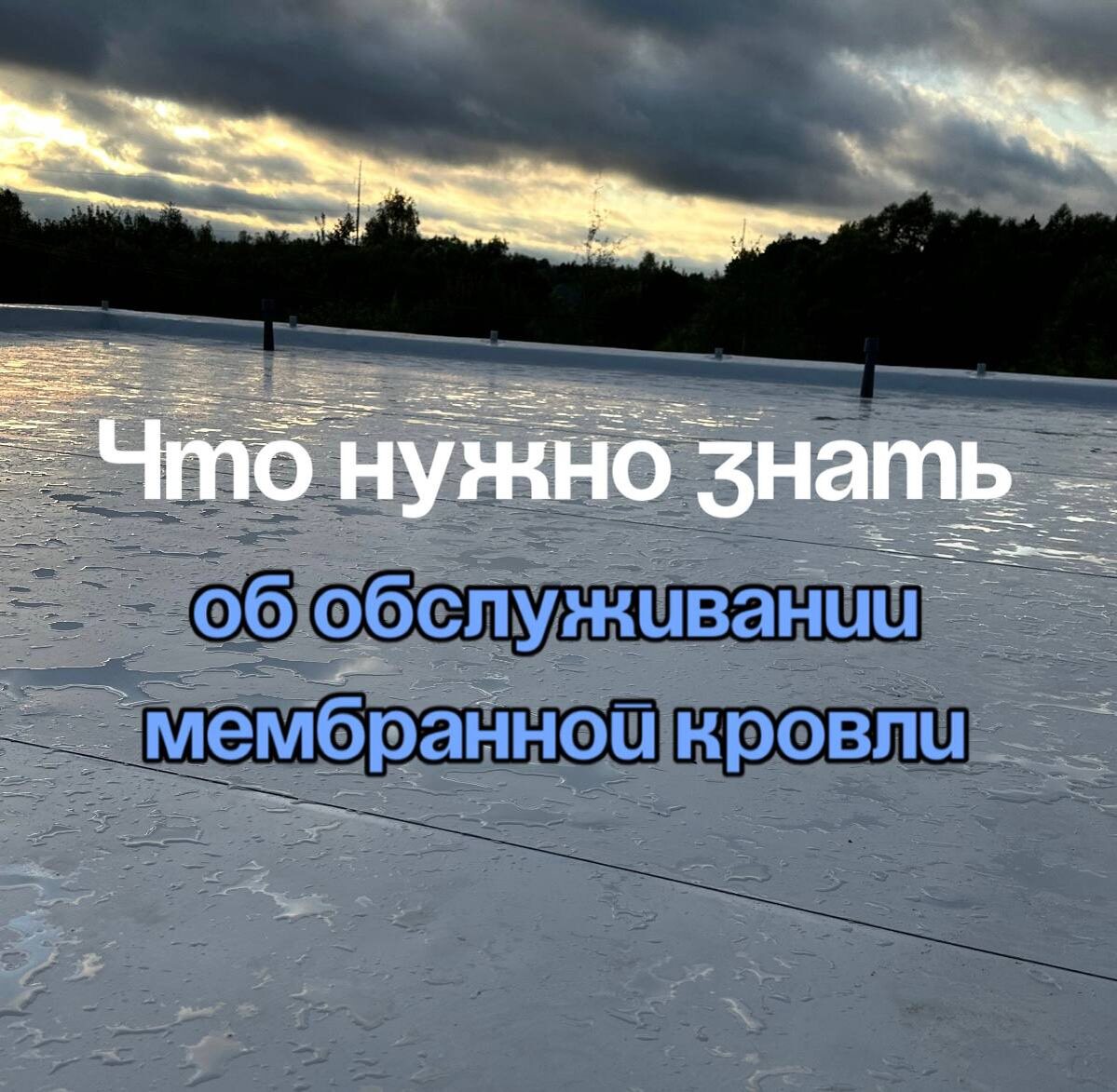 Мембранная кровля — это надёжное решение, но как и любая система, она требует внимания. Главное преимущество мембранных покрытий — это их долговечность и минимальные затраты на обслуживание. Но это не значит, что за ними не нужно ухаживать!Как ухаживать за мембранной кровлей?1. Регулярная проверка  Периодически осматривайте кровлю на предмет повреждений. Особенно важно проверять края, швы и места около вентиляции или дымоходов. Убедитесь, что нет накопления мусора, который может задерживать влагу.2. Очистка от мусора  На мембране могут скапливаться листья, ветки и другие загрязнения. Это не только снижает её срок службы, но и может стать причиной накопления влаги, что приведёт к повреждениям. Очистка от мусора поможет избежать этих проблем.3. Проверка водоотводов  Важно следить за состоянием водостоков и ливнёвок. Протоки и углубления, через которые вода может скапливаться, должны быть чистыми. Вода, задерживающаяся на кровле, может повредить мембрану, особенно в зимний период.4. Ремонт повреждений  Если вы заметили трещины или повреждения мембраны, их нужно устранить как можно быстрее. Для этого существуют специальные ремонтные комплекты, которые позволяют самостоятельно заклеить повреждения. Однако важно помнить, что сложные повреждения лучше доверить профессионалам.