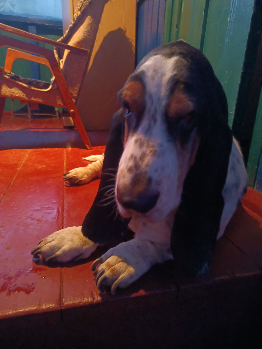 Я захворал....