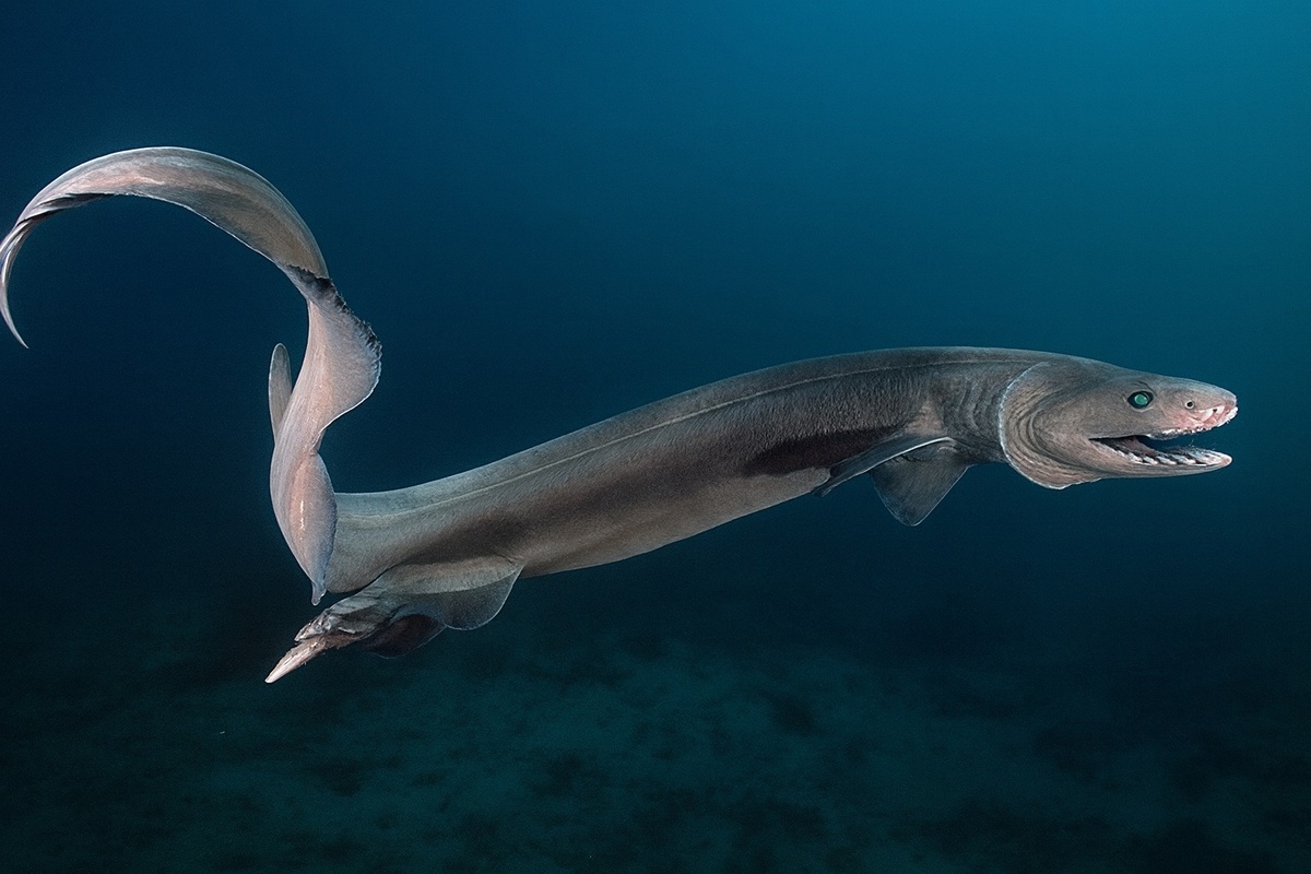 ,        ,       .      .         .       ,              .