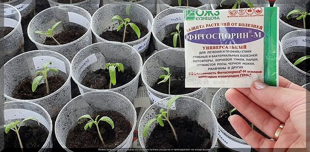 Биопрепараты от А до Я: подробный ликбез по биопрепаратам в вопросах и ответах. Часть 18