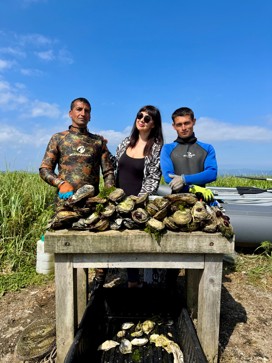 Это устрицы.