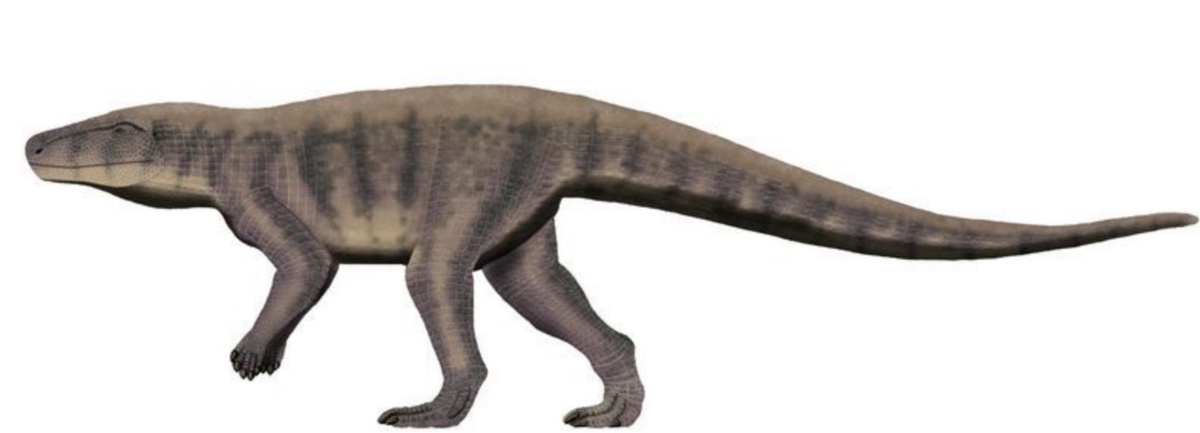 Smok Wawelski, псевдозухиевая реконструкция.