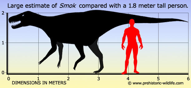 Smok по сравнению с человеком.
