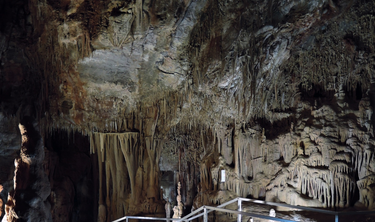 Пещера Петралона на полуострове Халкидики, где была сделана сенсационная находка