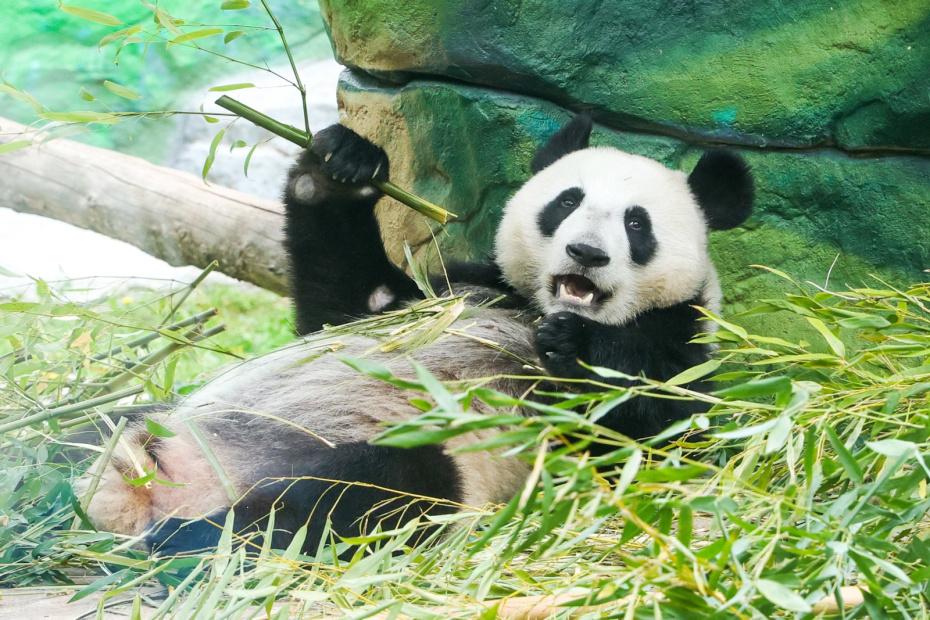    Наталья Шатохина/NEWS.ru