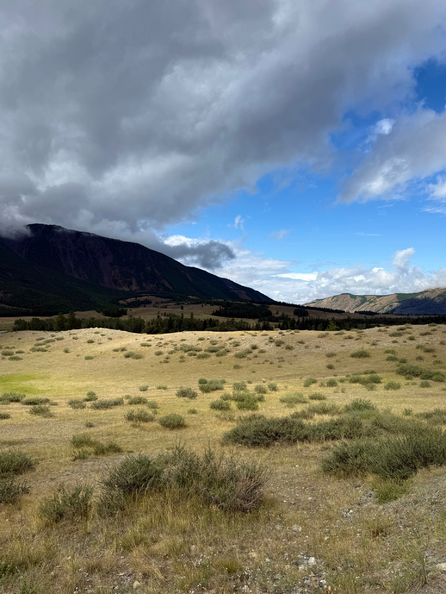 Алтай. Ходим-едем