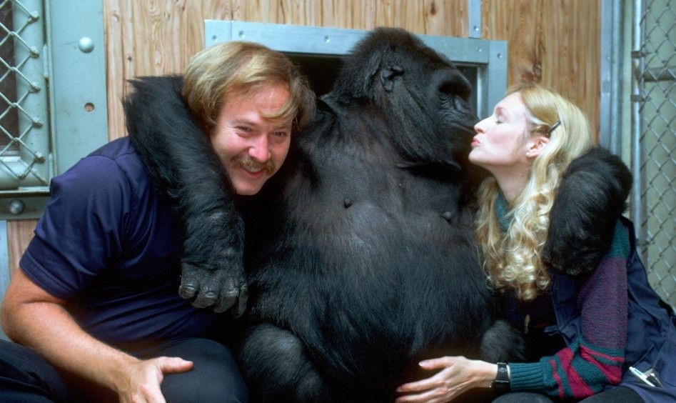 Вот и познакомились