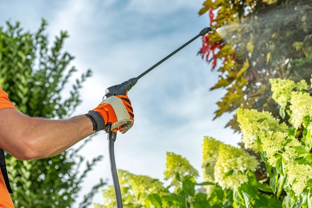    Фото: rg.ru Веселовские вести