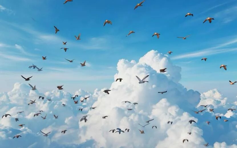    Лунный гороскоп на 25 августа 2025: Ракам – новые открытия, Водолеям – неожиданные шансы