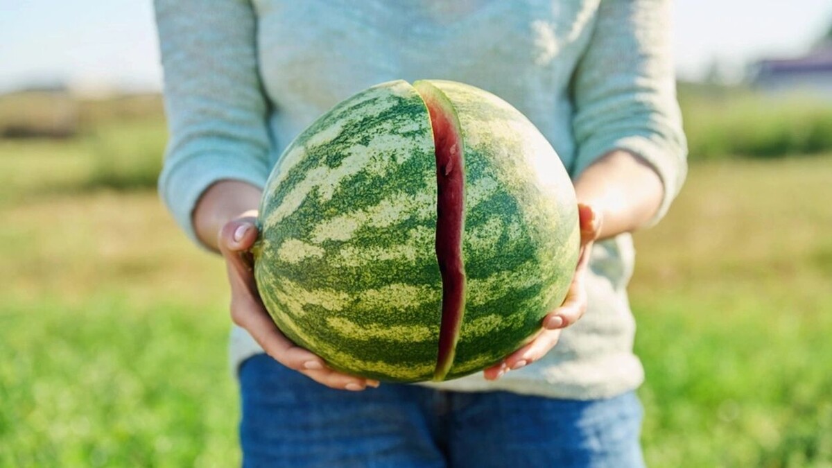    Фото: VH-studio/Shutterstock/Fotodom