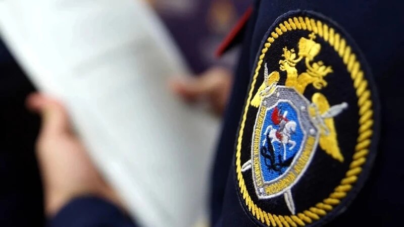     Следственный комитет Алтайского края. altai-krai.sledcom.ru