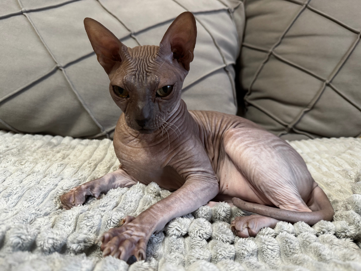 Фото из личного архива