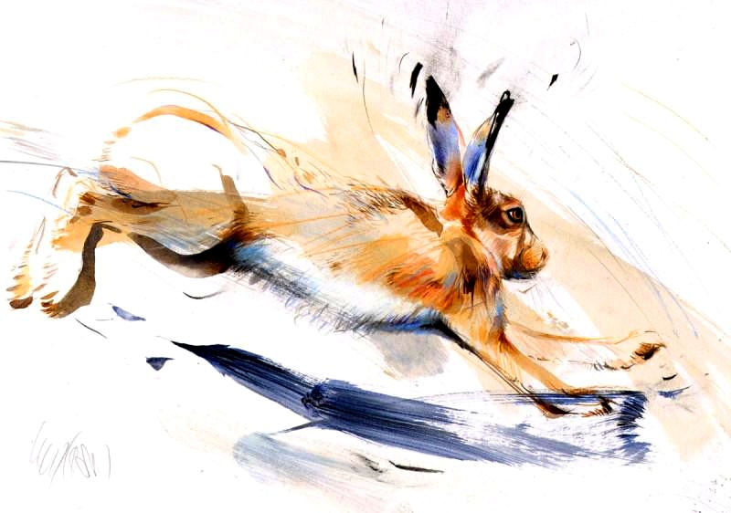 "Коричневый заяц, восход солнца", Люси Ньютон