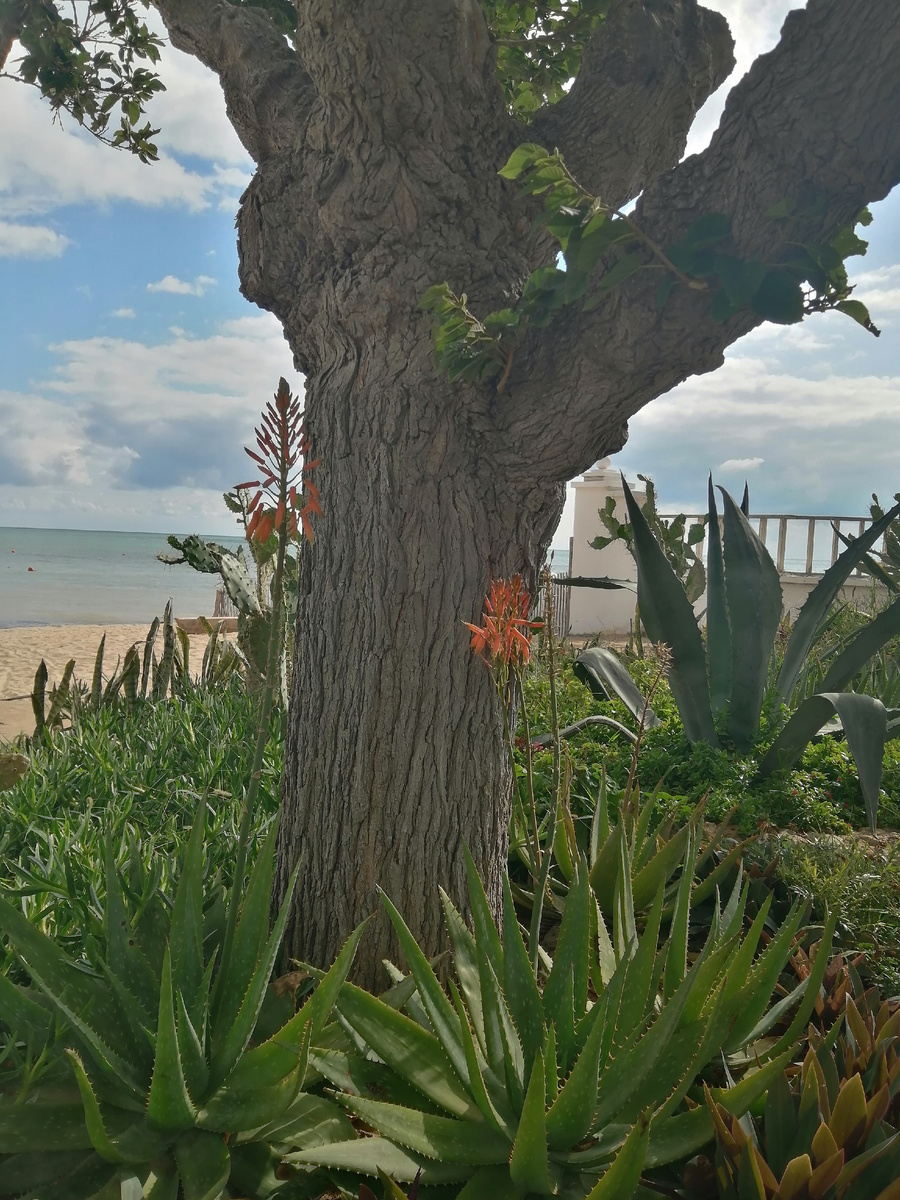 Набережная Горького.