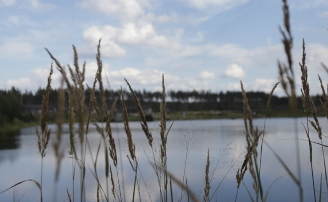    © пресс-служа администрации Ленобласти