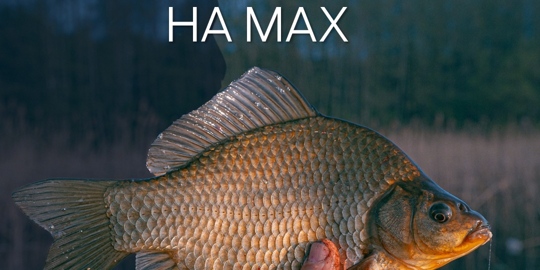 Ловля карася на мах
