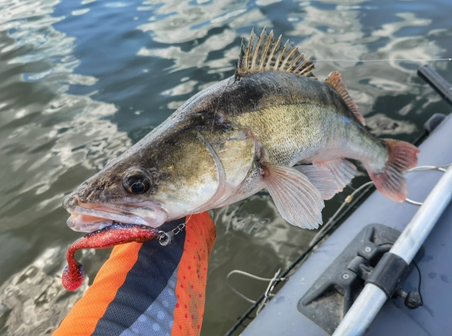 Фото с сайта: https://sun9-34.userapi.com