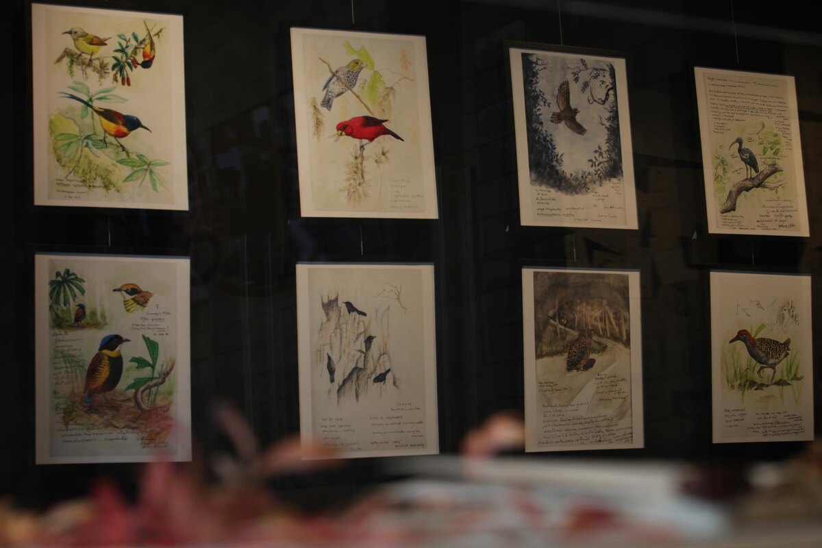 Рисунки из дневников доктора на выставке